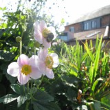 Byars Care Home