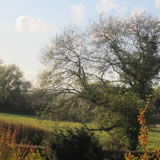 Byars Care Home