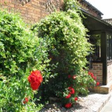Byars Care Home